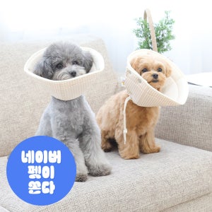 [개놀자] 오가닉 펜타곤 넥카라 강아지 고양이 중성화넥카라 2개세트