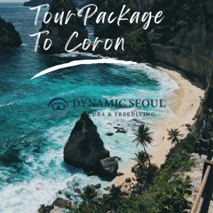2026년 코론 난파선&듀공 스쿠버투어 [05월20일-05월26일]