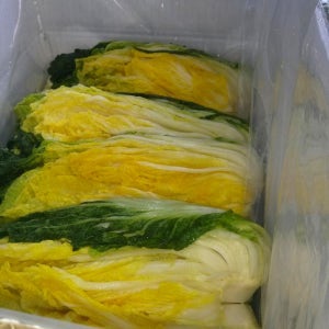 절임배추 고랭지 명품 해썹 괴산 절인배추 20kg