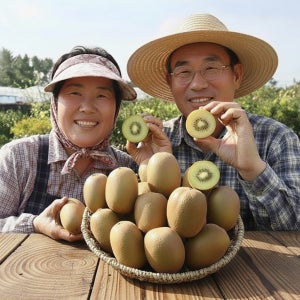 산지직송 전남 보성 고당도 참다래 제스프리 골든 골드키위 2kg 3kg 5kg