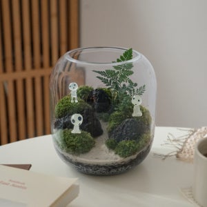 이끼 숲 테라리움 E TYPE 유치원소녀 테라리움 DIY 키트