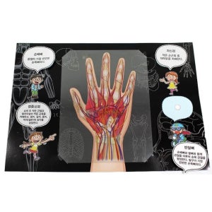 초등과학 손 혈관 신경 근육 구조 만들기 키트 교구 과착관찰실험 기본개념 엄마표