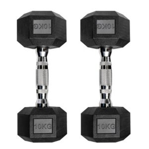 10키로 덤벨 뎀벨 홈트 헬스장 무게 운동 아령 10kg 2개