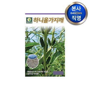 하니올 가지깨 (코팅종자) 3000립 다분지성 참깨 씨 종자