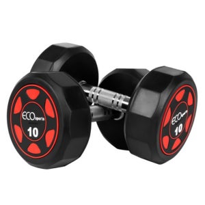 10키로 덤벨 뎀벨 홈트 헬스장 무게 운동 아령 10kg 2개