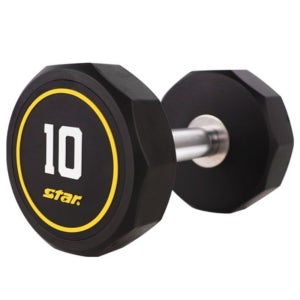 10키로 덤벨 뎀벨 홈트 헬스장 무게 운동 아령 10kg