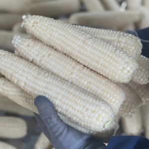 국내산 무첨가 냉동 찐 찰옥수수 30개 50개 (강원도 영월 미백 흑찰 NON-GMO)