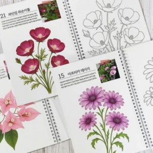 컬러링북 꽃 그림 색칠 책 어르신 색칠공부 시니어