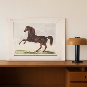 잘 만들어진 말 인테리어 캔버스 액자 대형 벽걸이 그림 73x53cm / 말 19