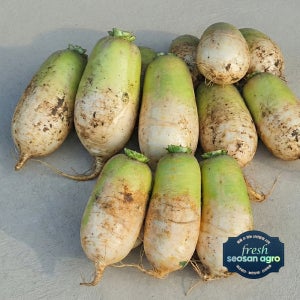 [프레시서산아그로]국내산 다발무 무청제거 2단