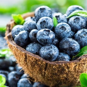프리본 2025년 수확 개별급속동결 A등급 미국산 세척 냉동 블루베리 1kg, 8개