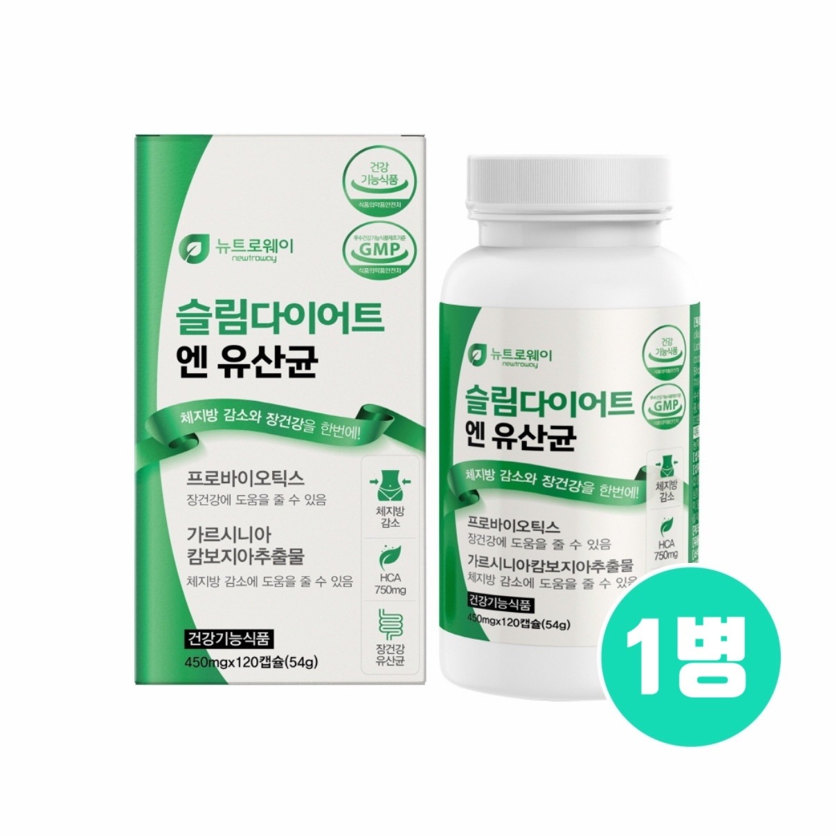락티플란티바실러스 플란타룸 피(P)4