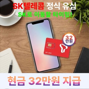 SKT유심 개통 SK텔레콤 번호이동 자급제 USIM 통신사 변경 온라인 전환 셀프개통