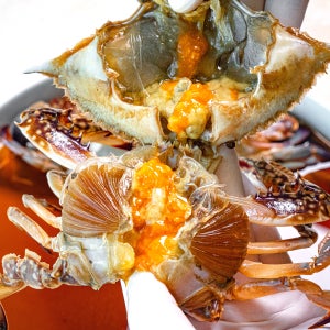 마실상회 연평도 알배기 간장게장 간장 꽃게장 1.5kg 2개