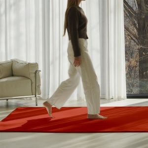 호이데코 코지 단모 러그 워셔블 200x300