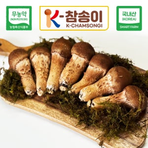 [K-참송이] 국내산 무농약 참송이버섯 A등급 300g 건강 채식 송이버섯