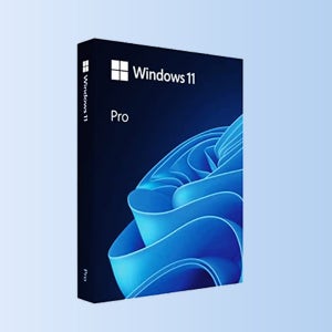 [MS 정품] Windows 11 Pro FPP 기업용 윈도우 처음사용자용 영구버전 제품키 USB설치 실물발송