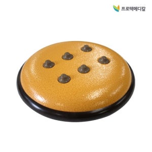 프로텍메디칼 충전식 돌 찜질기 따뜸이 PR-505