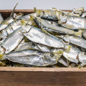 국산 디포리 밴댕이 국물 육수용 남해안 멸치 1.5kg, 1개