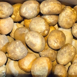 강원도 경상도 산지직송 햇감자 수미 두백감자 특사이즈 포슬포슬 10kg, 1개