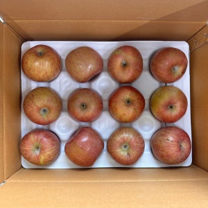 [주영마켓] 실속형 산지직송 꿀당도 부사사과 소과, 2.5kg, 1개