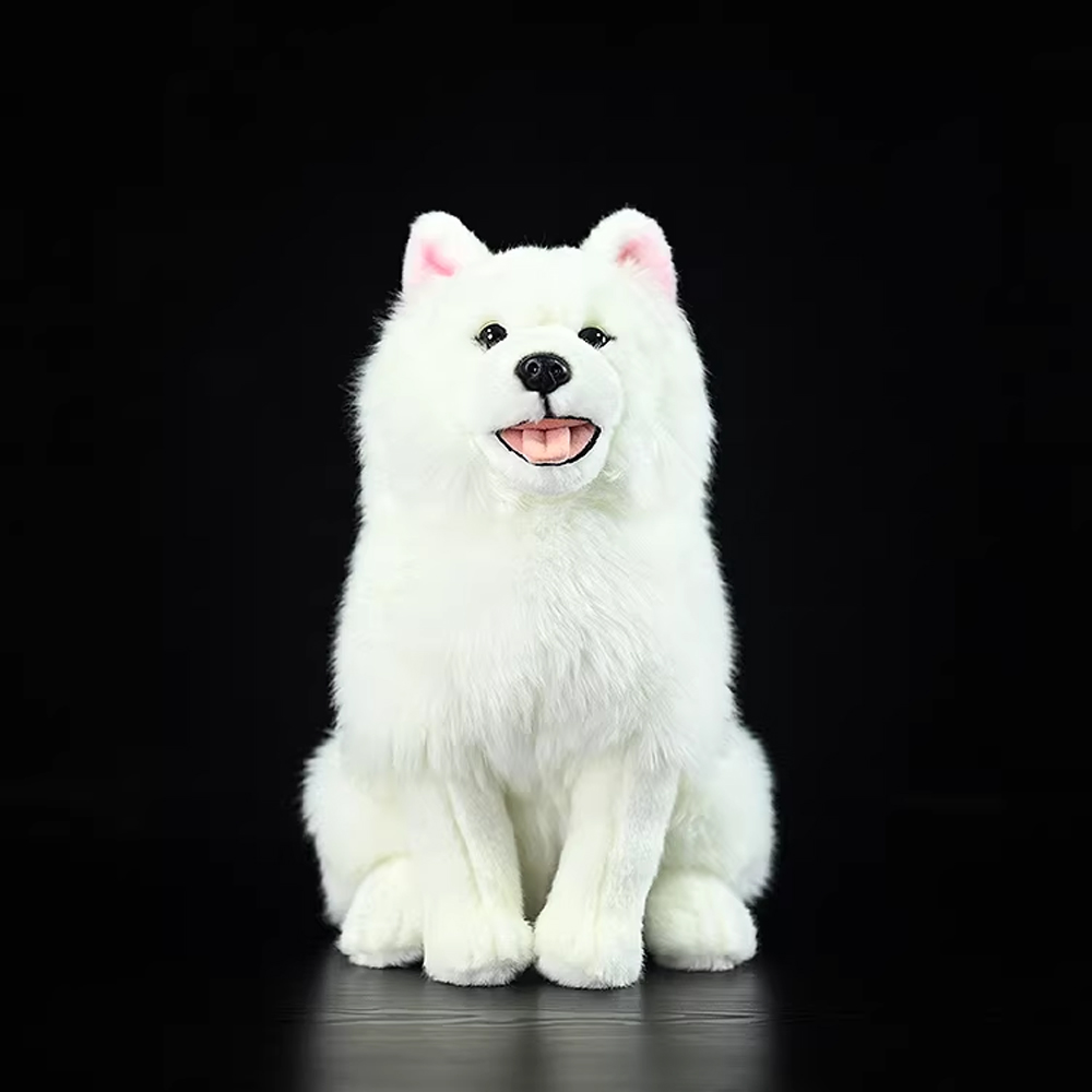 사모예드 (Samoyed)
