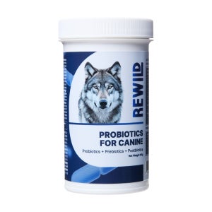 [4시 당일출고] 강아지 유산균 리와일드 프로바이오틱스 60g, 1개