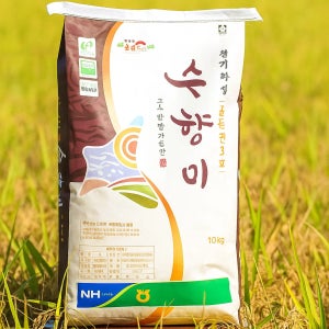 수향미 10kg, 2개