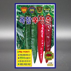 KS 복합신청춘 200립 복합내병 청초 홍초 건초 매운맛 청양 고추 씨앗 씨 종자