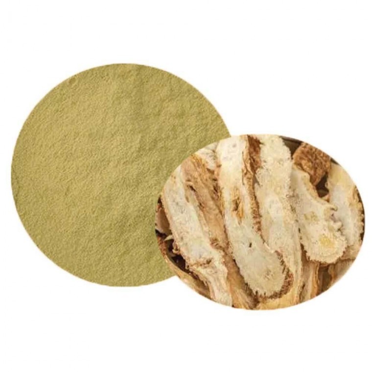 <b>참당귀추출분말</b> 100g 샘플