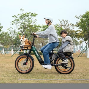 랑케레이시 GOLF-X 접이식 전기자전거 20A삼성배터리 1000W 전동자전거 관세포함