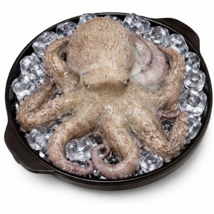 산지직송 제철 자연산 돌문어 활 문어 자숙문어 제수용1kg