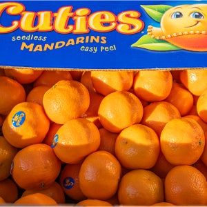 만다린 큐티스 캘리포니아 미국산 감귤 미니 오렌지 2kg 3kg 4kg