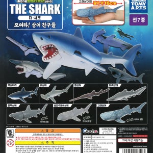 더 샤크 모여라 상어친구들 일본 가챠 캡슐토이