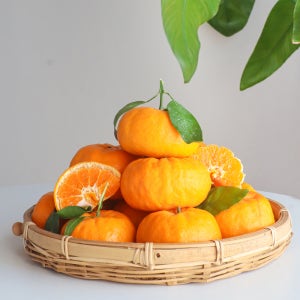 제주 신품종 윈터프린스 3kg 5kg 산지직송