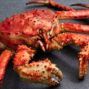 크랩플릭스 러시아 수입 자숙 특A급 킹크랩 레드 1마리 자사직수입 2.5kg, 1개