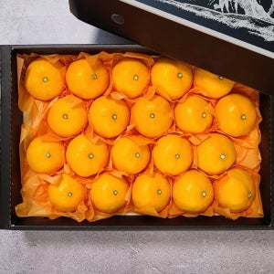 [실중량] 제주 천혜향 선물세트 소과, 4.5kg, 1개