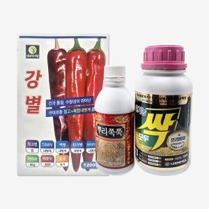 고추씨앗 강별 1200립 대과종 고추씨 종자