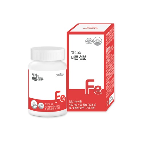 <b>웰러스 바른 철분</b> 740mg 90정, 1개
