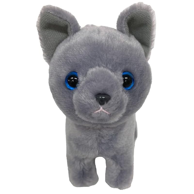 Russian Blue (러시안 블루)