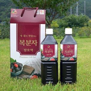 복분자효소 발효액 엑기스 1L 2병