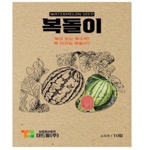 복수박씨앗 10립 복돌이 복수박종자 소과종 미니