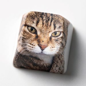 커스텀 강아지 고양이 사진 인쇄 키캡 주문제작 댕냥이 굿즈 포인트 얼빡키캡 키링