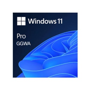 마이크로소프트 Microsoft Windows 11 Pro GGWA 기업용 OS 불법대안