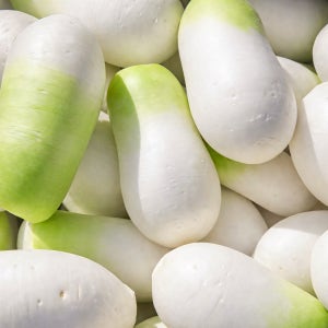 햇무 달큰한 제주 세척 월동무 제주무 무우 국내산 무