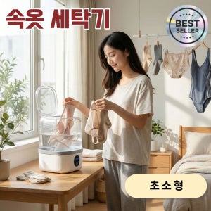 르몽 속옷세탁기 양말 여행용 자취 1인가구 수영복 미니