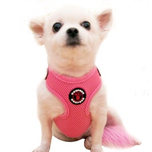 푹신한 쿠션 목졸림없는 강아지 하네스 치와와하네스 닥스훈트하네스