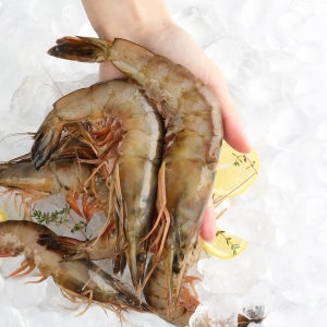 자연산 대하 1kg 2kg 왕특대 대왕새우 급냉