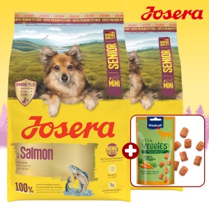 요세라독 미니 시니어 3kg x 2개 노령견 작은알 항산화 노화예방 사료