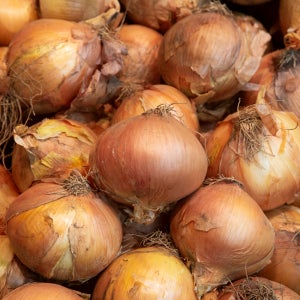 국내산 양파 단단한 햇양파 무안양파 중과 5kg 150-200g내외